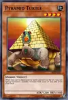 Pyramid Turtle